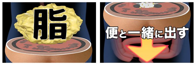 余分な脂を排出