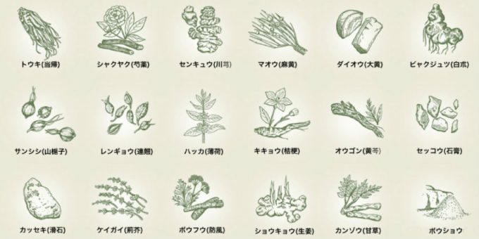 防風通聖散は、交感神経に働きかけるマオウや、脂肪代謝経路に働くカンゾウ・ケイガイ・レンギョウ、溜まった老廃物の排泄に働くダイオウなど、18種類の生薬からなる漢方薬