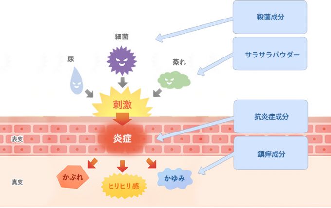尿かぶれ(炎症)を引き起こすのは、「尿や便などの皮膚刺激物質」「細菌・カビ」「蒸れ」などですが、それらの温床になっているのが尿パッドです。また、形状や素材が肌に合わず、尿パッド自体がムレや擦れを引き起こすケースもあります。